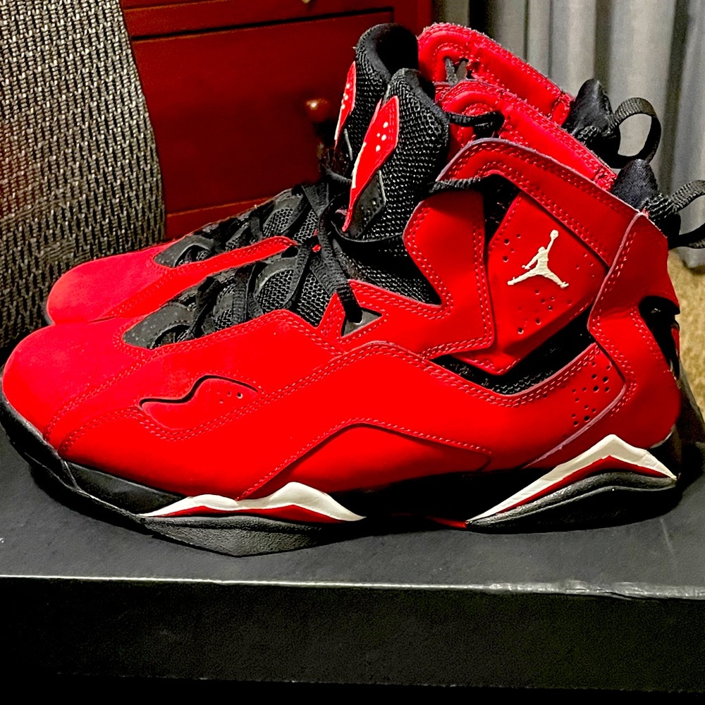 Jordan 6 True Flights